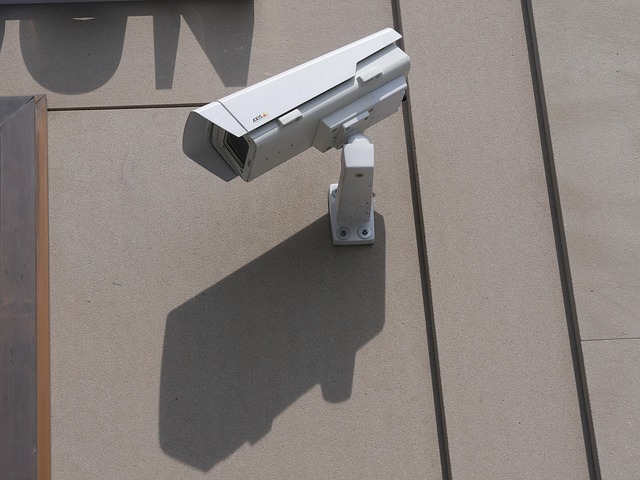 videovigilancia videovigilancia
