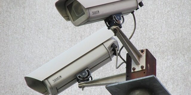 camarasv videovigilancia